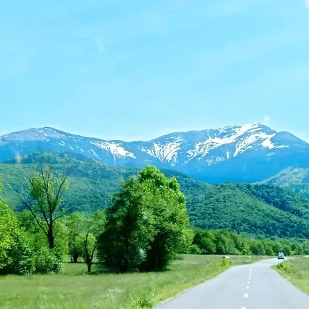 Pensiunea Valea Lisei Guest house *