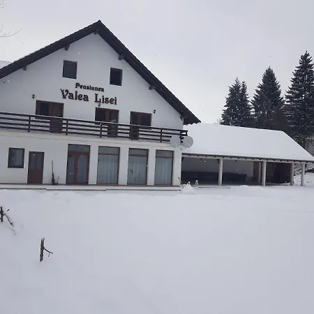 Pensiunea Valea Lisei *