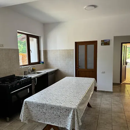 Pensiunea Valea Lisei Guest house Lisa