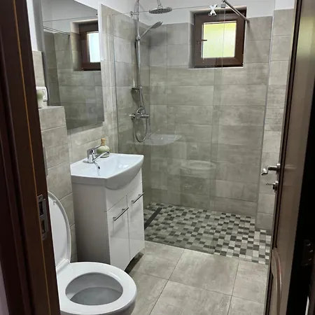 Guest house Pensiunea Valea Lisei Lisa