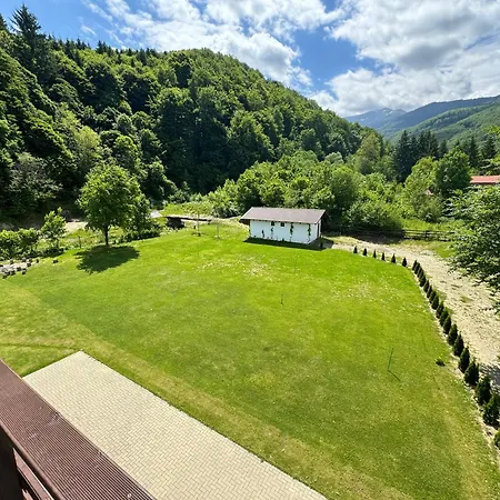 Guest house Pensiunea Valea Lisei Lisa