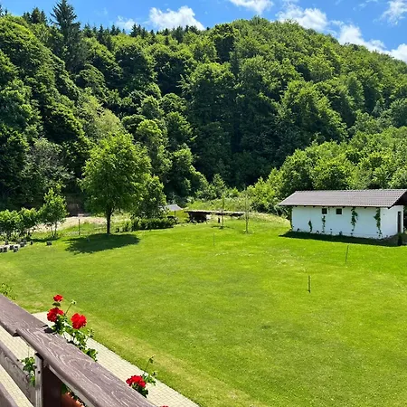 Guest house Pensiunea Valea Lisei *