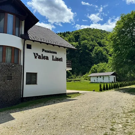 Pensiunea Valea Lisei